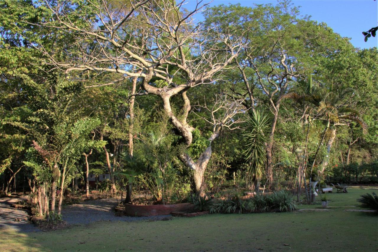 Casa Unica Com Piscina E Lareira A 1,2 Km Do Centro Villa Chapada dos Guimaraes Luaran gambar