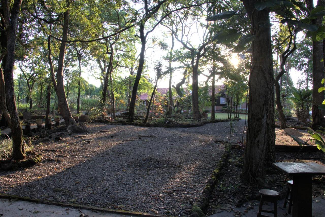 Casa Unica Com Piscina E Lareira A 1,2 Km Do Centro Villa Chapada dos Guimaraes Luaran gambar